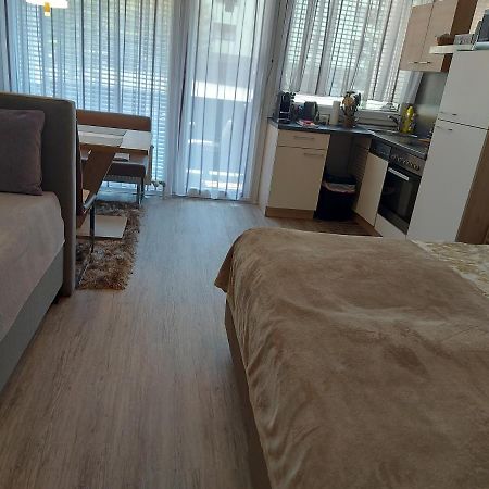 Appartement Daniel Kaprun Εξωτερικό φωτογραφία